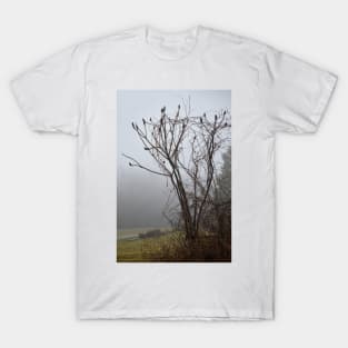 Sumac in fog T-Shirt